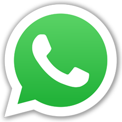 boton whatsapp CHIMPORTACIONES
